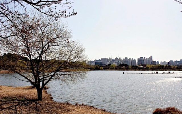 1771875946_cea4e293.jpg