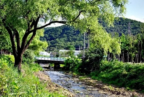 수원 40여년, 내가 겪어본 수원_2