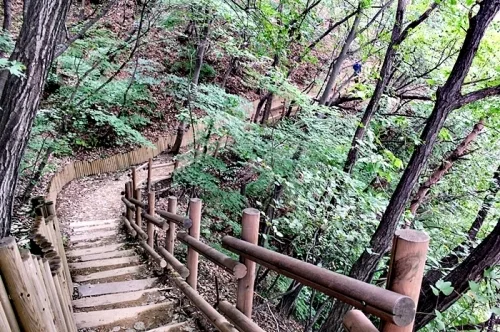 광교산 삼림욕과 함께한 걷기 좋은 지게길