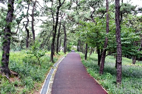 88올림픽을 기념한 수원올림픽공원 _3