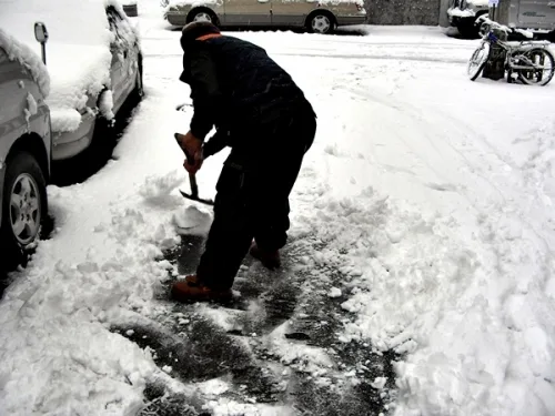 초겨울 폭설, '수원 SNS' 또한번 빛났다_2