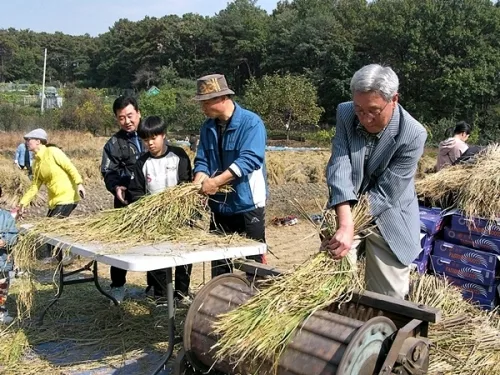 300여년의 지명의 역사..율전동 밤밭 축제_2