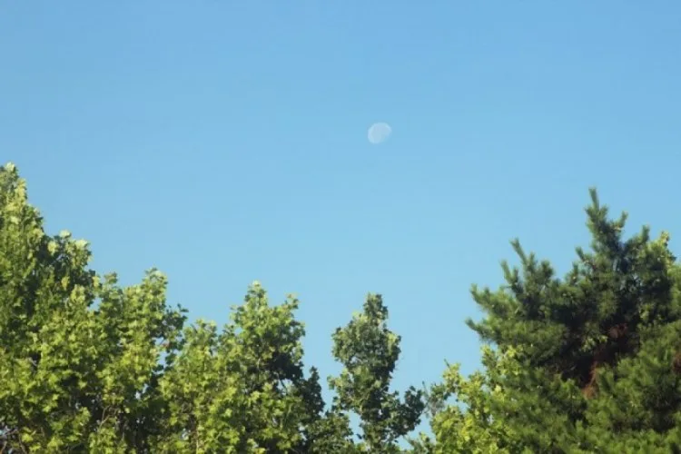 인류의 숨겨진 하나 신(神)과 초고도 문명 (1)