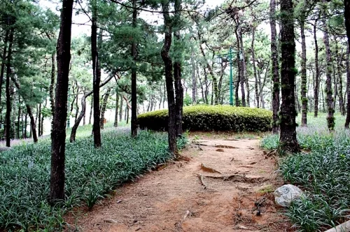 88올림픽을 기념한 수원올림픽공원 _2