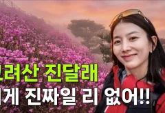 강화 고려산 진달래부터 금문도 간짜장까지, 하루 코스