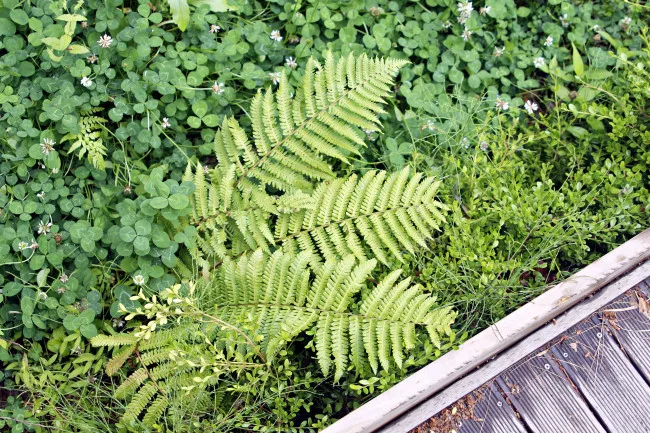 기자(記者) 나라와 신(神)문명 3편 - 거부할 수 없는 운명_