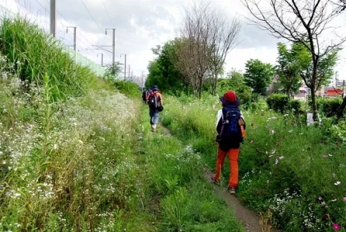 기대되는 경기 삼남길 수원·화성·오산 구간 개통_3