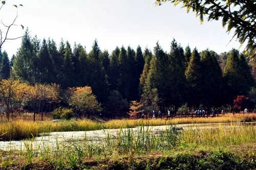 가을 정취 맘껏 느낄 수 있는 오산 '물향기수목원'_1