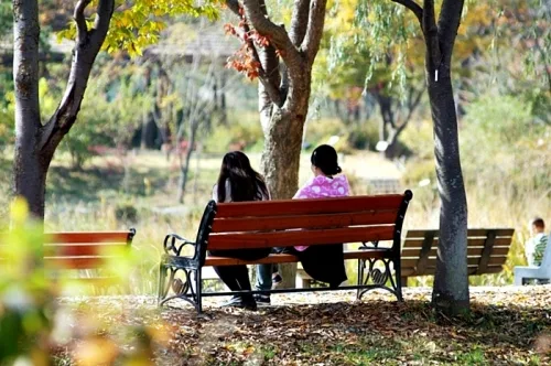 가을 정취 맘껏 느낄 수 있는 오산 '물향기수목원'_2