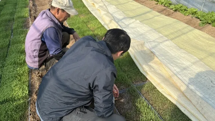 포천시농업기술센터, 벼 발아율 저하 대비 안전육묘 현장기술지원 강화