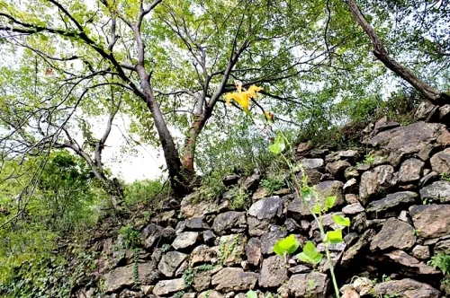 광교산(光敎山)의 의미를 되새겨보자_2