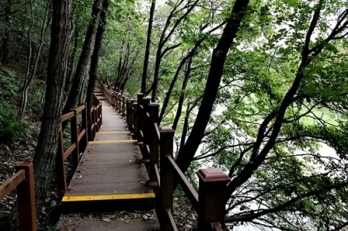 광교산 삼림욕과 함께한 걷기 좋은 '지게길' _4