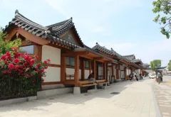 수원의 숨결을 걷다: 50개의 거리와 시장이 빚어내는 도시의 연대기