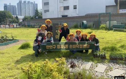 수원시 장안구 정자1동 손바닥정원단, 정원 가꾸기 활동 추진