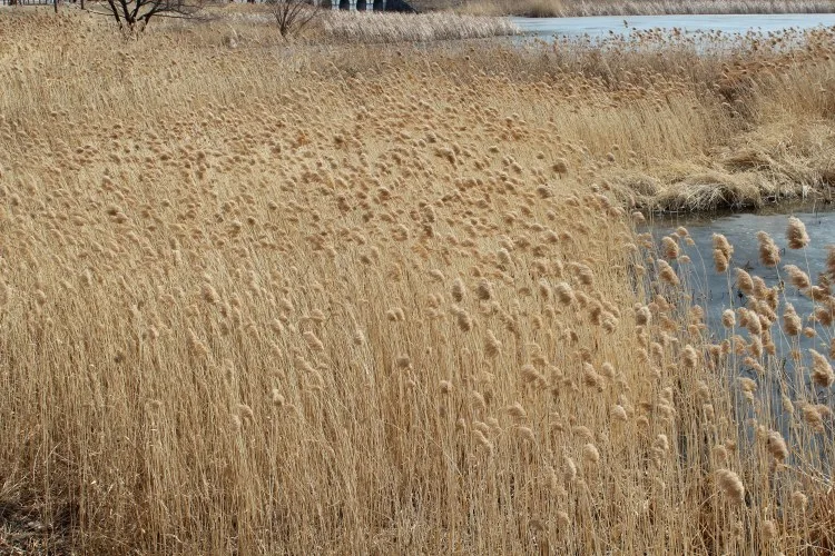 미래 상황 대비, 서버와 웹진 운영은 필수이다