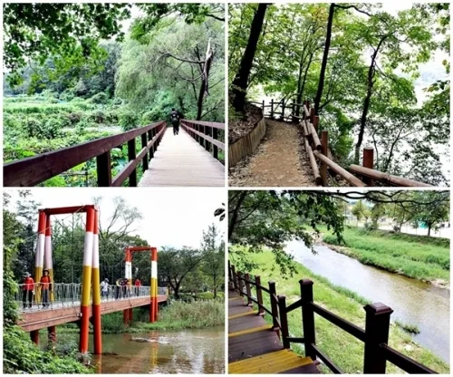 광교산 삼림욕과 함께한 걷기 좋은 '지게길' _3