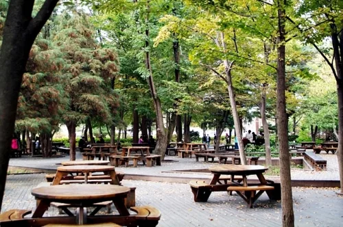 가을 정취 맘껏 느낄 수 있는 오산 '물향기수목원'_3