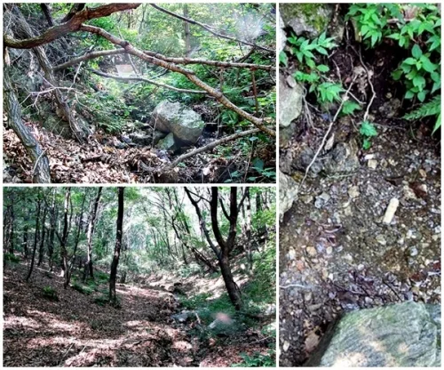 시민과 함께해 더 의미있던, 수원천 발원지 찾기_2