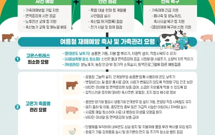 폭염 앞둔 축산농가, 경기도 축산재해 예방 대책 가동