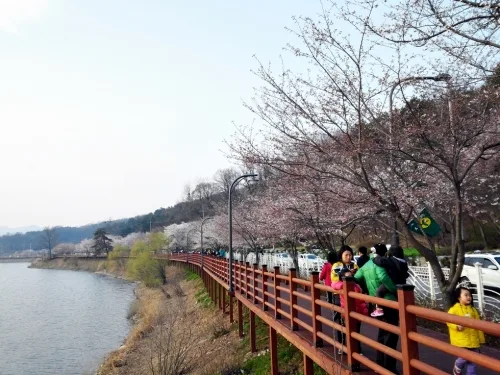 물빛의 아름다움, 호젓한 수변산책로의 유혹_1