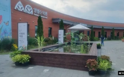 수원수목원, ‘물속에 담은 수원水園의 여름’ 개최…수생식물 50여 종 선보여