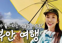 직소폭포·유채꽃·적벽강까지, 부안 하루 여행 코스