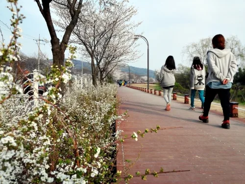 물빛의 아름다움, 호젓한 수변산책로의 유혹_2