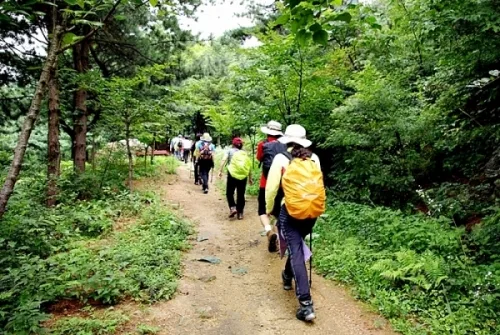 기대되는 경기 삼남길 수원·화성·오산 구간 개통_1