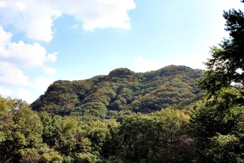 이번 주 광교산 단풍 보러 갈까_3