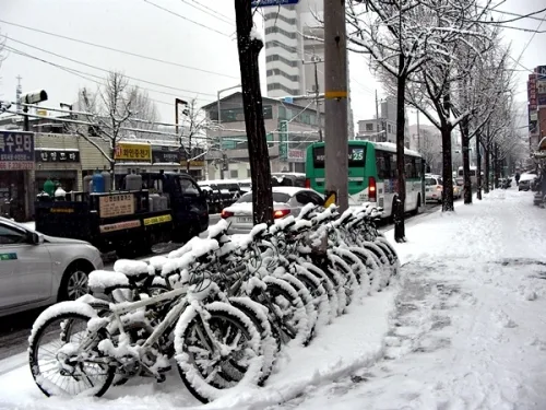 초겨울 폭설, 수원 SNS 또한번 빛났다