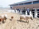 경기도 말 복지 휴양목장 개소식