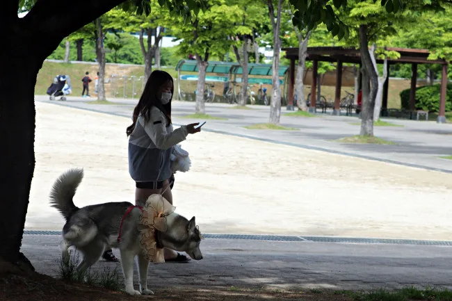 기자(記者) 나라와 신(神)문명 2편 - 1인 매체 시대의 도래