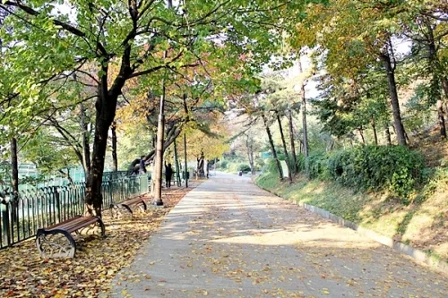 가을정취 볼거리 다양한 팔달산 둘레길_1