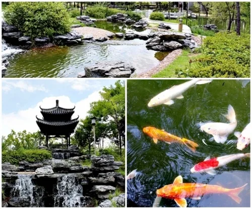 이국적인 풍경, 수원 '월화원'에 가다_3