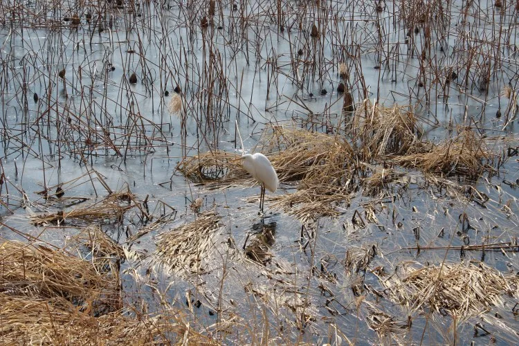 하나의 문제만 달려있는 것이 아니다