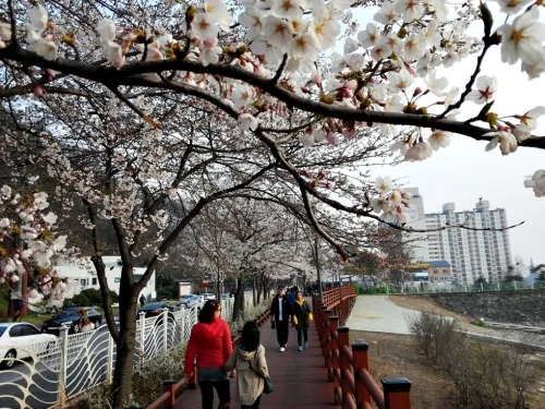 물빛의 아름다움, 호젓한 수변산책로의 유혹_3