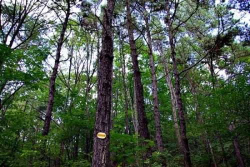 세계가 주목할 '생태교통페스티벌 2013수원 _3