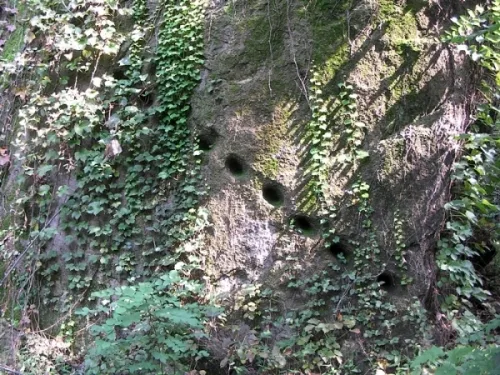 조상님들의 숨결이 깃든 곳 숙지공원에 가다_3