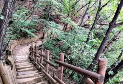 광교산 삼림욕과 함께한 걷기 좋은 지게길