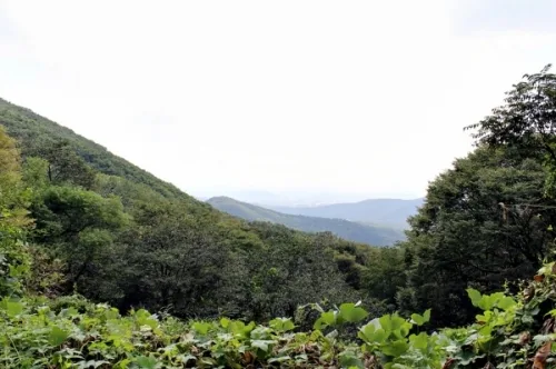 광교산(光敎山)의 의미를 되새겨보자_1