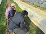 포천시농업기술센터, 벼 발아율 저하 대비 안전육묘 현장기술지원 강화