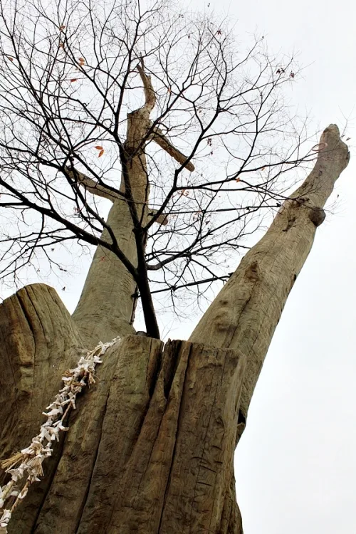 연말 소원 빌 만한 장소, 어디가 좋을까?_2