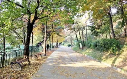 가을정취 볼거리 다양한 팔달산 둘레길