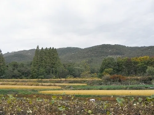220여년전 화성 축성의 길을 걷다_3