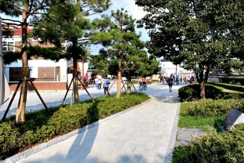 생태교통마을, 큰 변화 속 작은 변화들_2