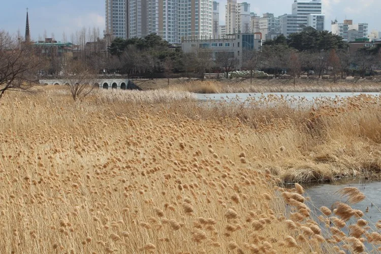평범하지 않았던 지구(地球)와 그 자리