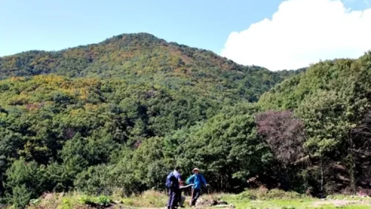 이번 주 광교산 단풍 보러 갈까