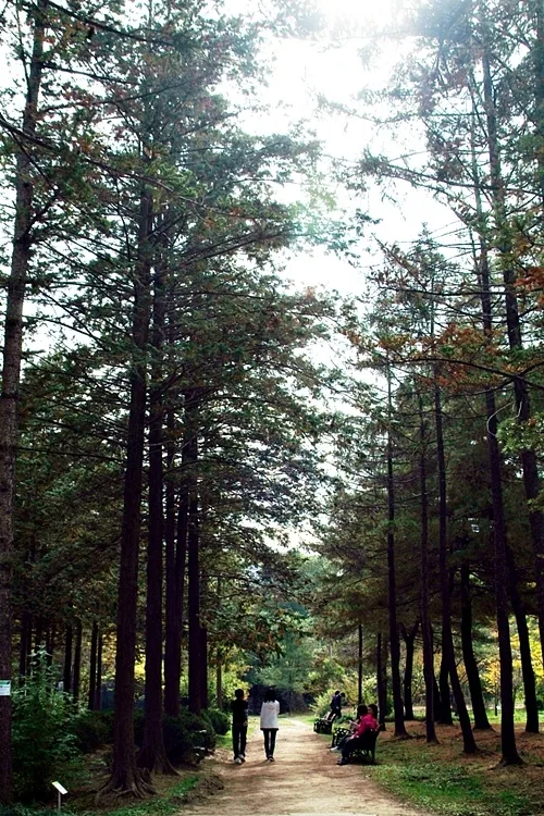 가을 정취 맘껏 느낄 수 있는 오산 '물향기수목원'_4