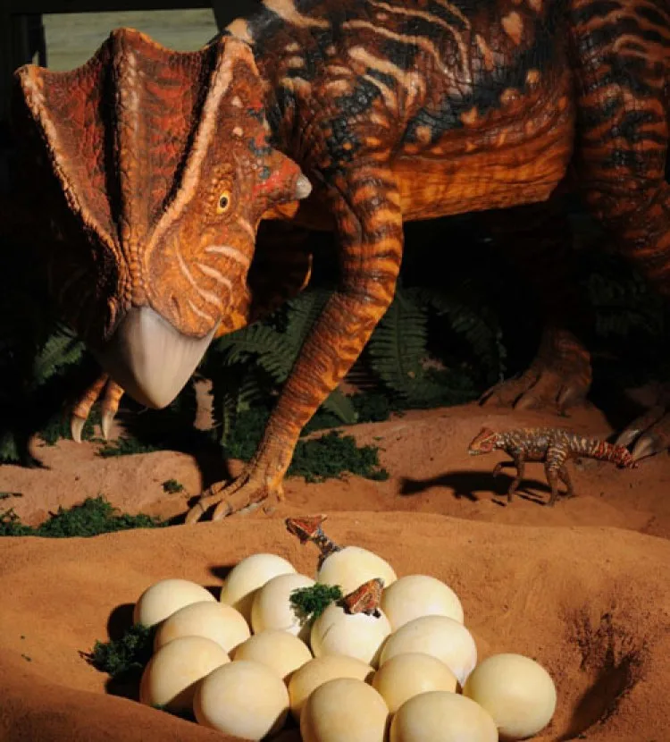 닭으로의 진화 '코리아케라톱스'