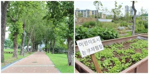 수원 청소년문화공원으로 무궁화 보러오세요 _4